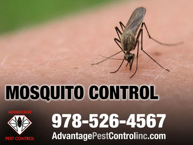 Advantage Pest Control, Inc