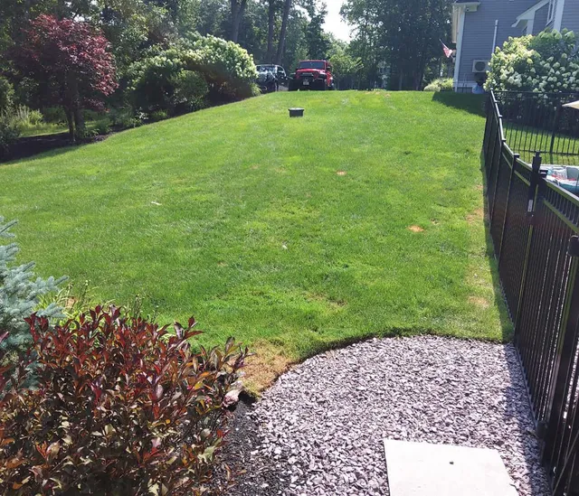 work photo from freshlawncare.com