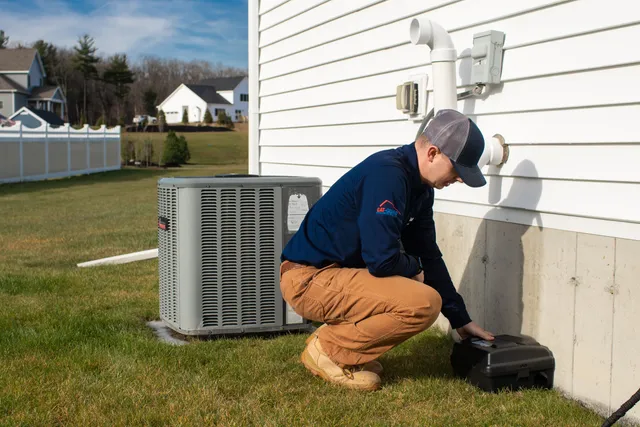 Catseye Pest Control - Providence, RI work photo
