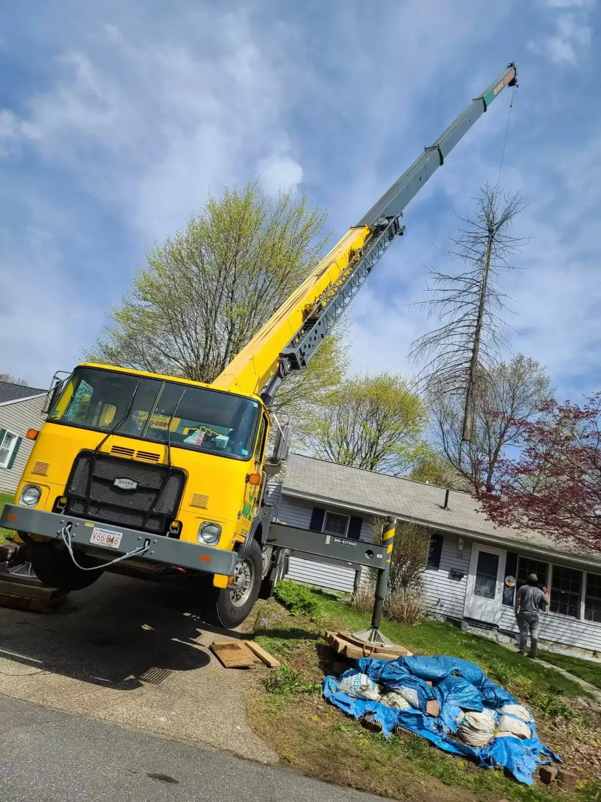 work photo from mapletreeservices.net