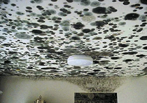 work photo from siteconcorp.com