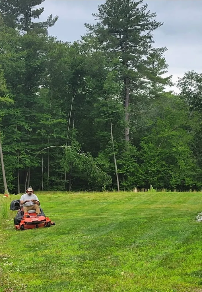 Sammy's Lawns