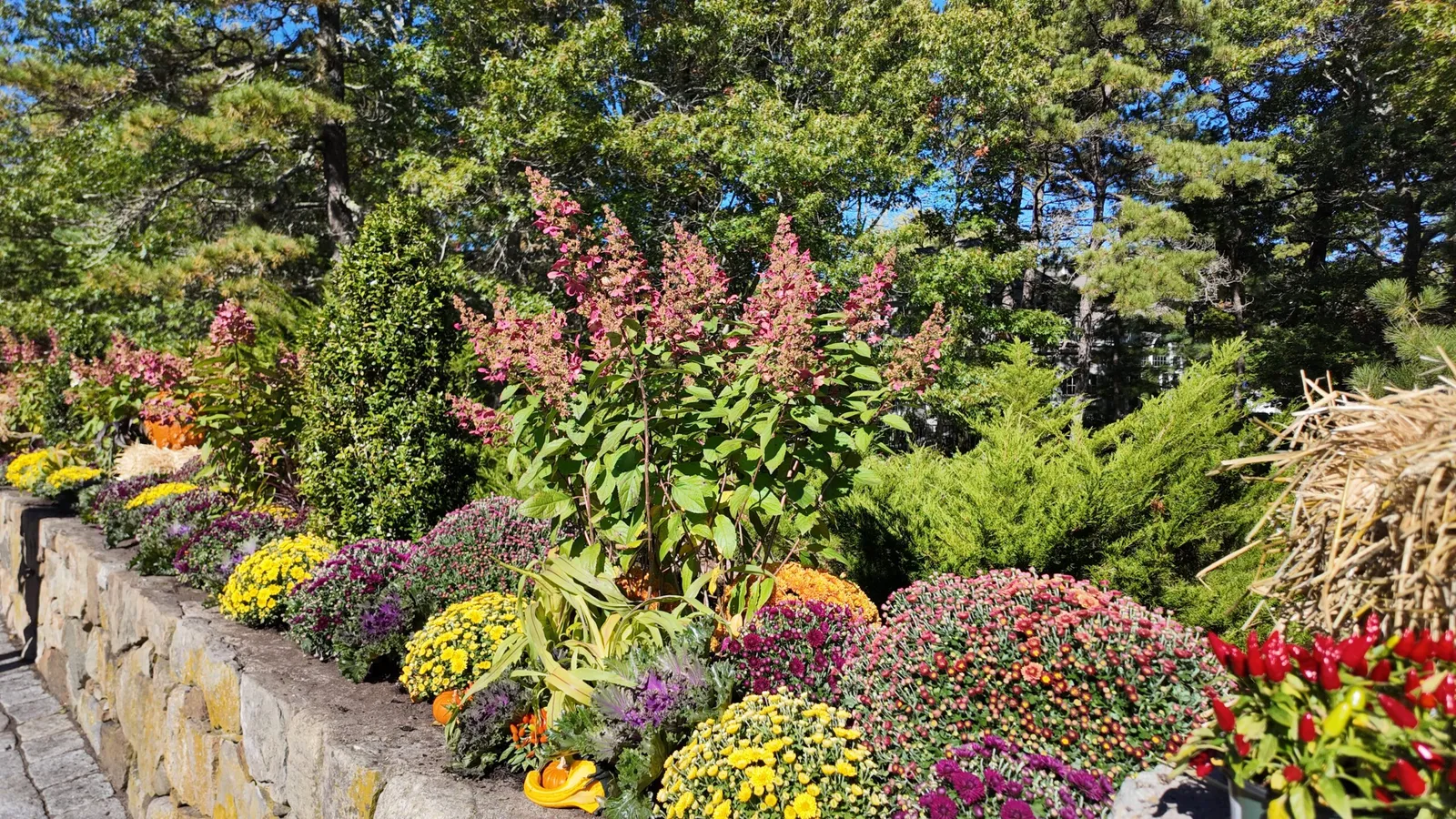 work photo from eganlandscapegroup.com