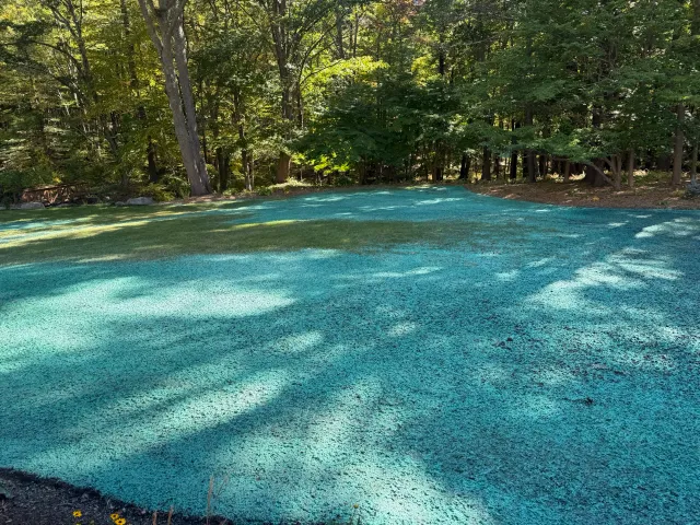 work photo from mrhydroseedlandscaping.com
