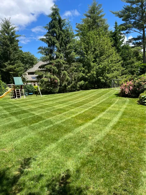 work photo from tedslawnandlandscape.com