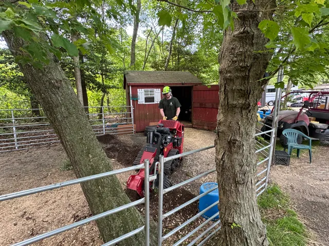 Wareham Roots work photo