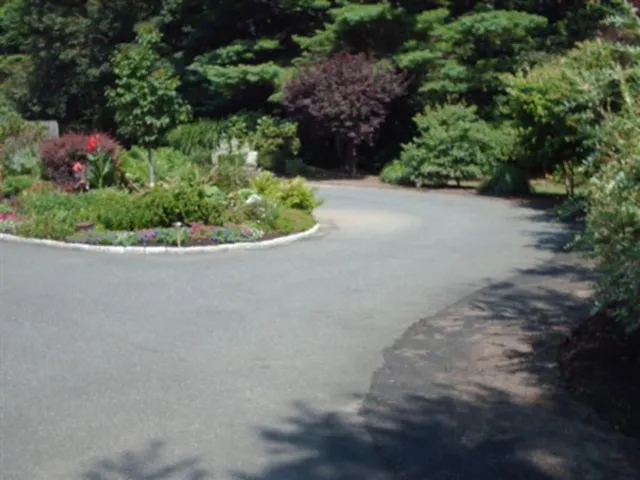 Pioneer Stone Seals work photo