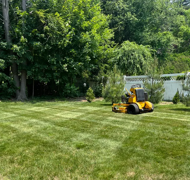 Ortiz Outdoor work photo