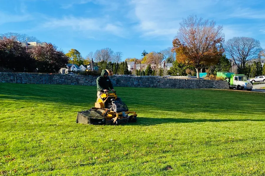 how professional lawn care saves you money