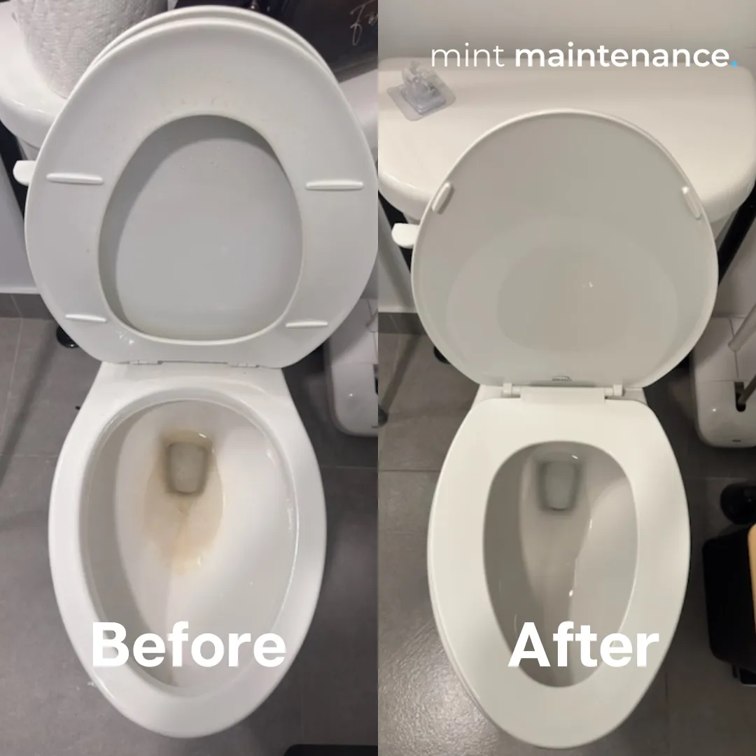 Mint Maintenance