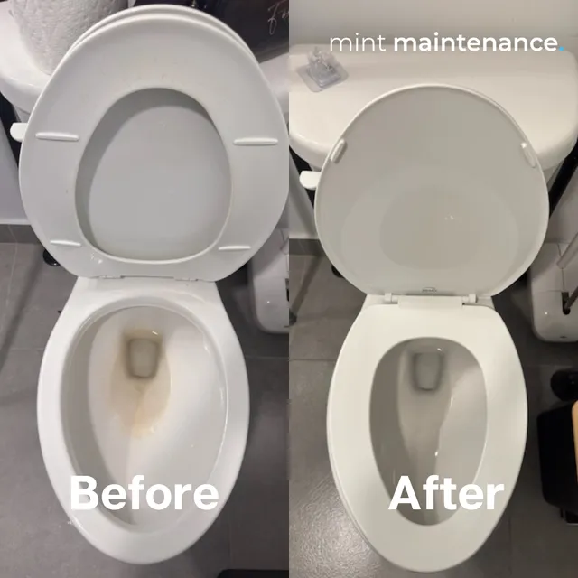 Mint Maintenance
