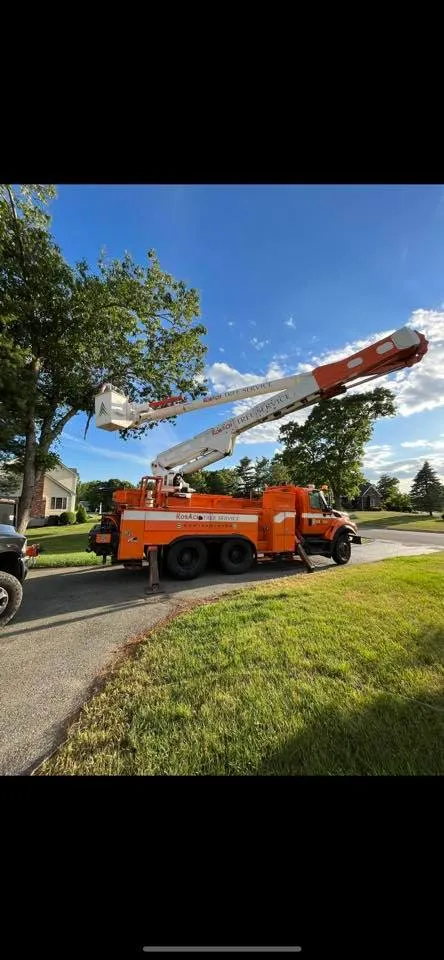 work photo from robachtreeservice.com