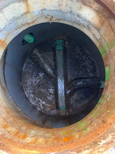 A cartoon farm scene with water spraying from pipes, highlighting underground roots and structures.