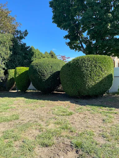 Review photo by fred confalone