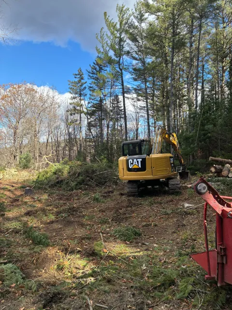 A yellow CAT excavator clearing brush in a forest clearing on a sunny day.