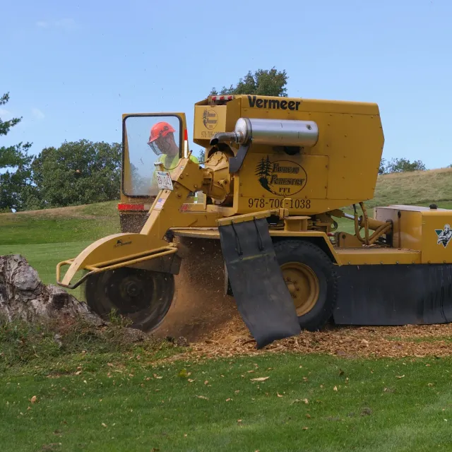 Stump Grinding