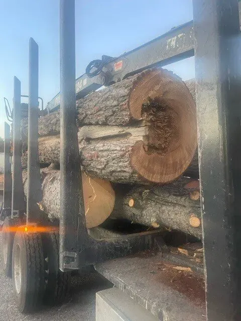 work photo from treetechinc.net