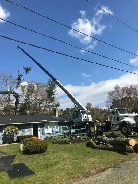 Tree removal crew lifts a long branch over a house with a crane on a sunny suburban street