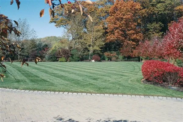 work photo from arbor-turf.com