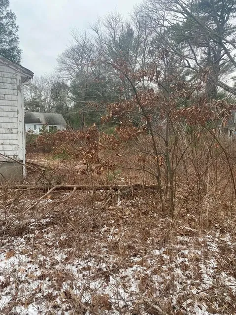 Before Lanmd Clearing by house