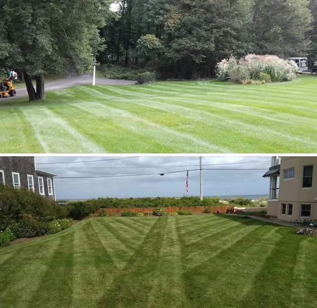 The Grass Guy work photo