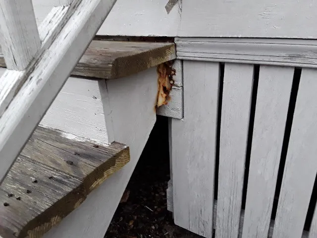 Home & Hearth Inspection Services