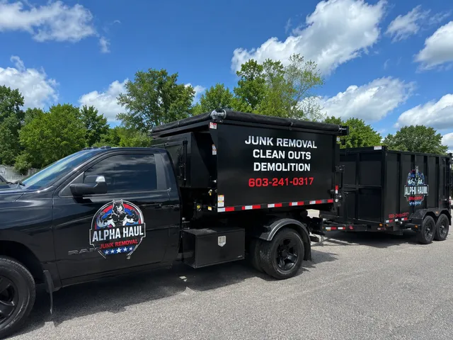Alpha haul & junk removal work photo
