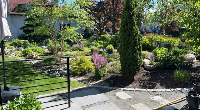 Alfaro Landscaping Corp work photo
