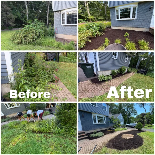 VetraScape work photo
