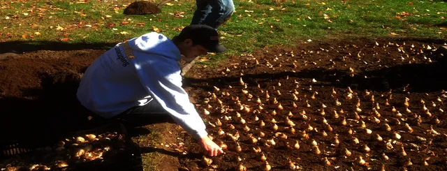 We provide landscaping
services to your home & business
