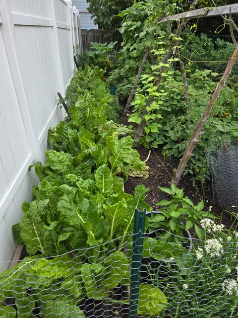 Yankee Garden Designs work photo