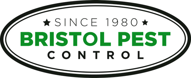 Bristol Pest Control work photo