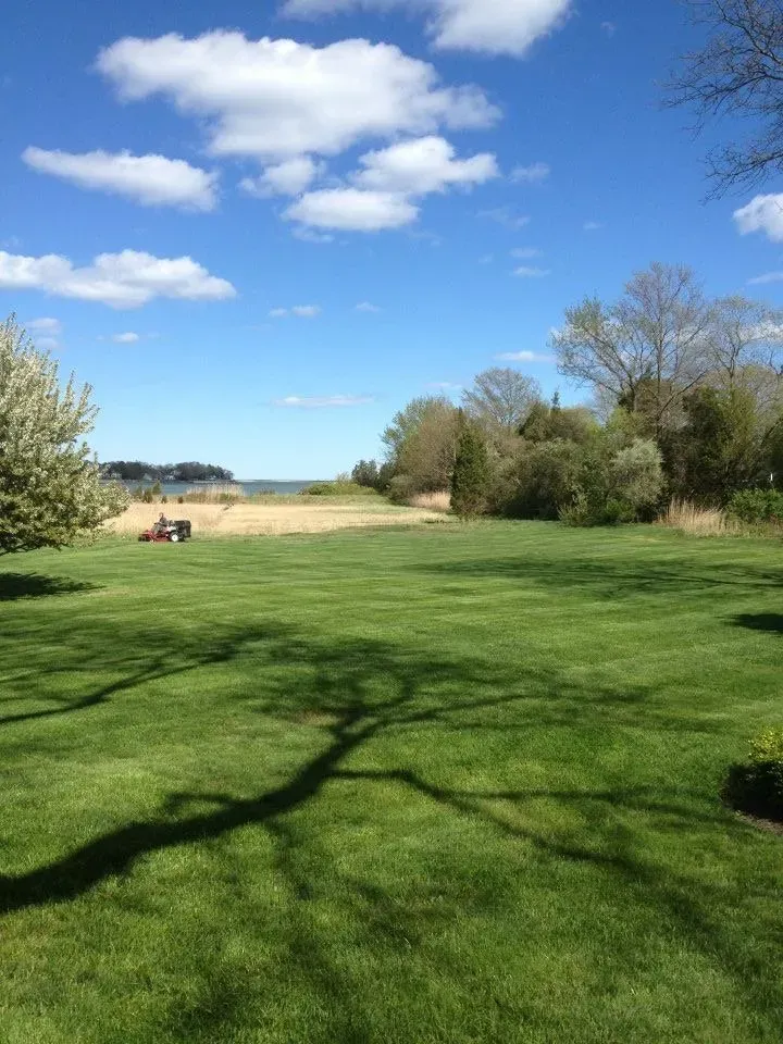 Landscape Service