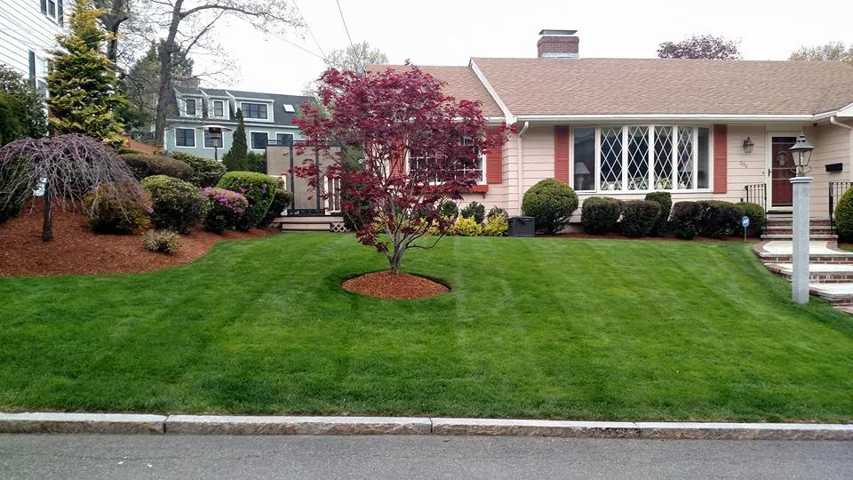 work photo from maslandscaping.com