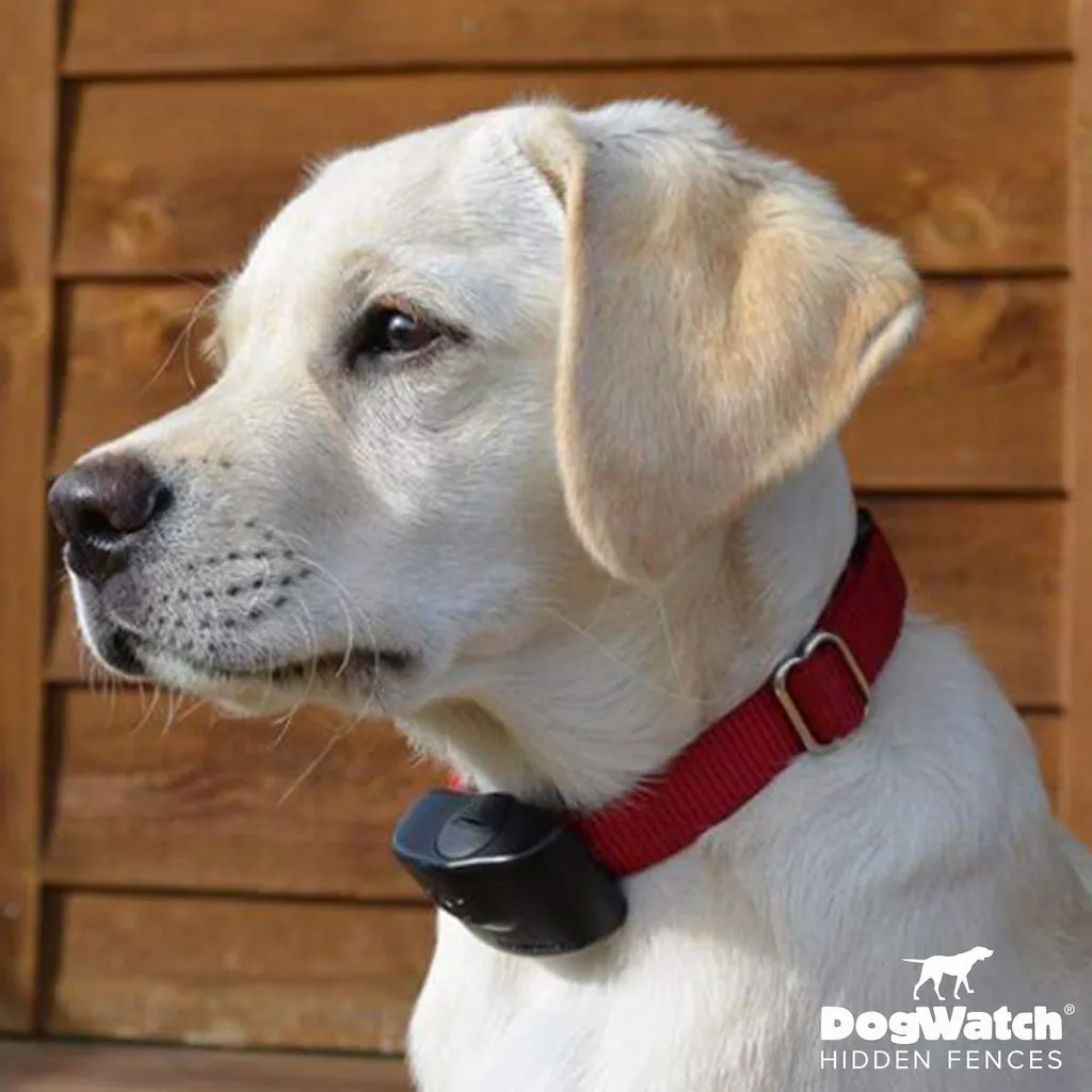 work photo from dogwatchsystems.com