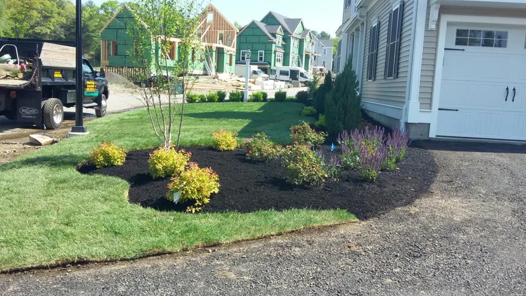 Landscaping