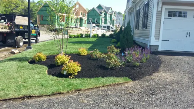 Landscaping