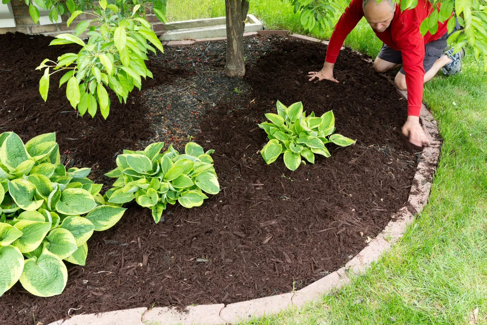 Yard Care
