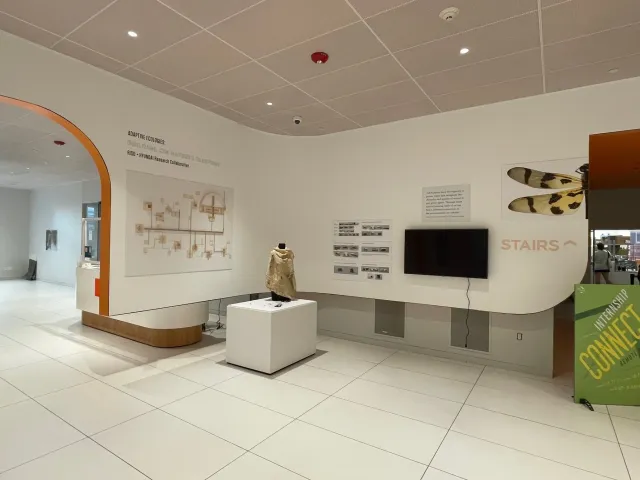 art install 3.jpg