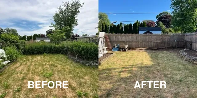 Before and after backyard cleanup transformation