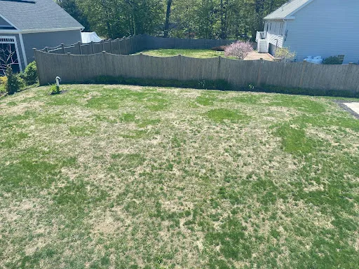 McCarthy & Son Landscaping work photo