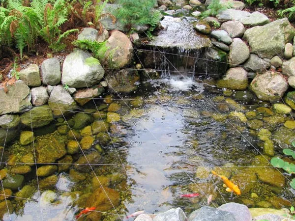 work photo from evergrnlandscape.com