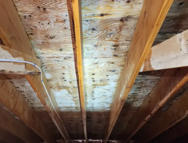 Mold Solutions