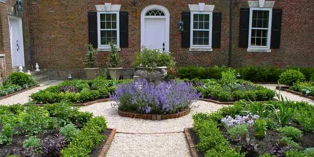 Garden in a courtyard