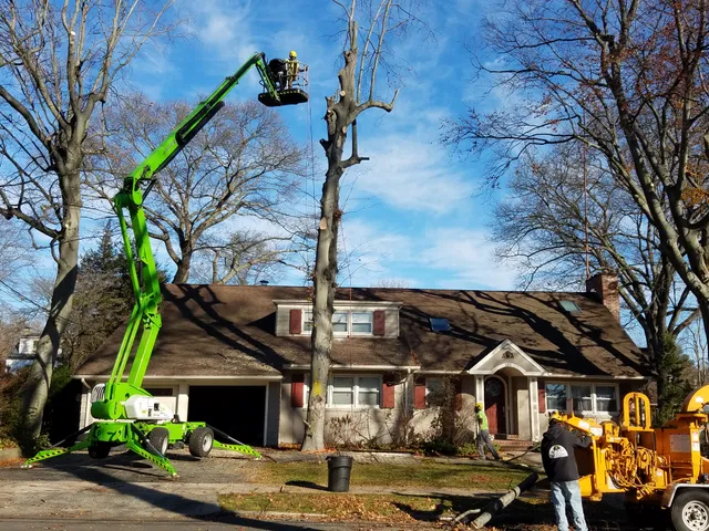 Weise Choice Tree Services, LLC work photo
