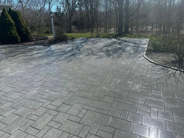 Gray brick driveway with wet surface reflecting sunlight. Trees and bushes in the background.