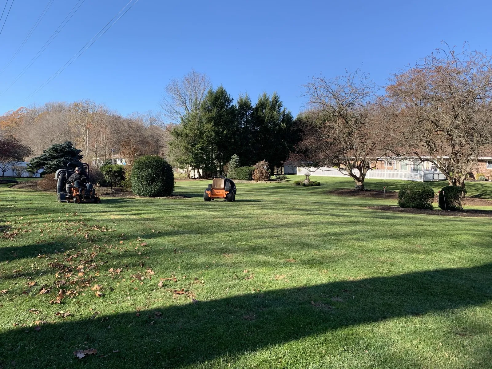 work photo from Google listing