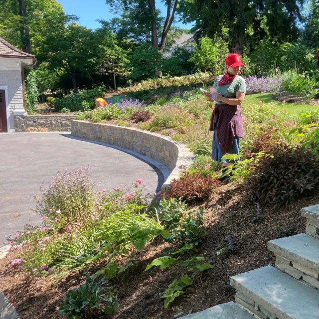 Anne Stewart Landscape Design work photo