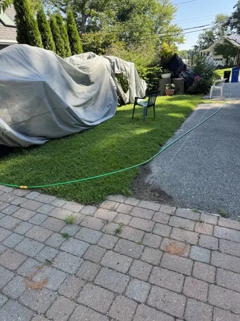 Existing brick walkway before site work