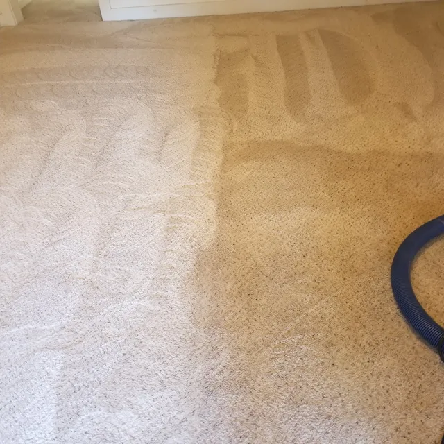 AllClean Carpet Care work photo
